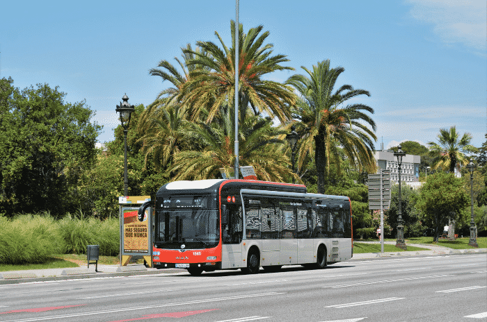 Обычные автобусы Барселоны