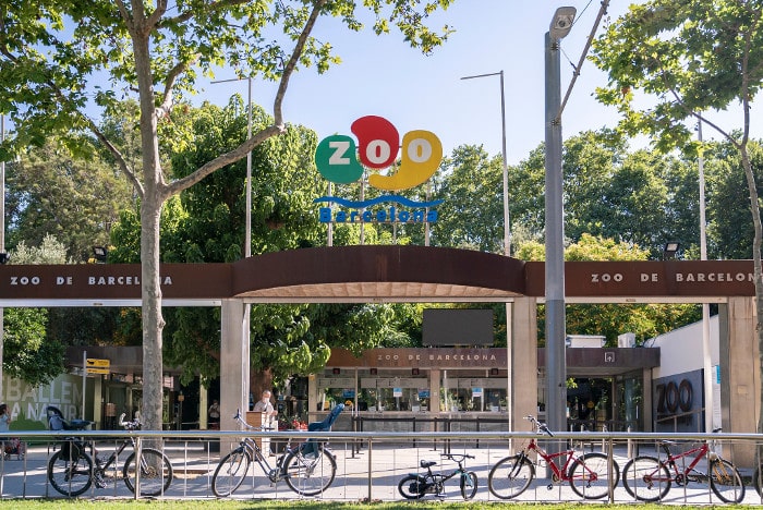 Как работает зоопарк в Барселоне