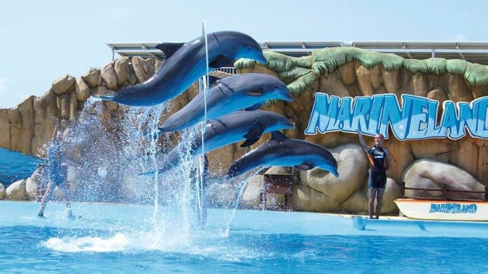 Достопримечательности Бланеса: аквапарк и дельфинарий Marineland