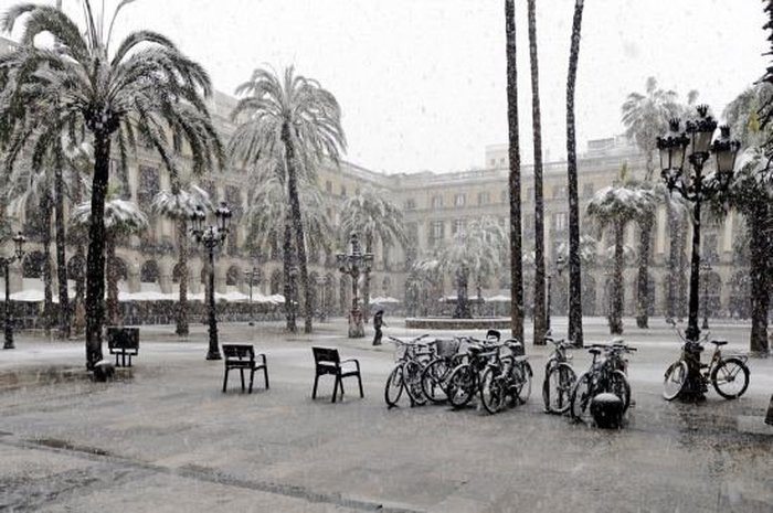 Снег в Барселоне: фотографии