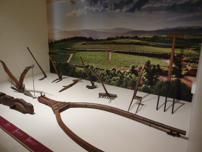 Музей вина в Каталонии: коллекции
