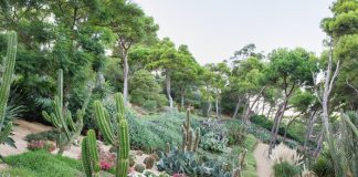 Ботанический сад Кап-Роч