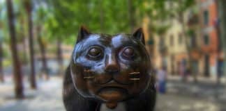 Кот в Барселоне: символ Раваля