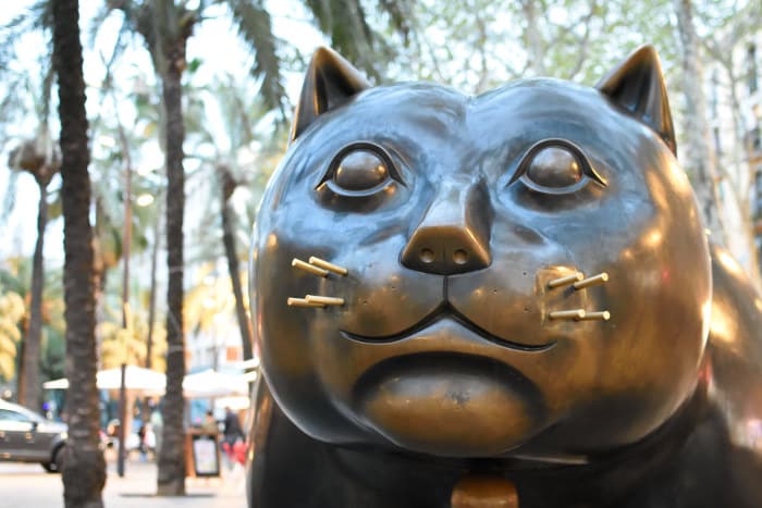 Необычные места Барселоны: кот Ботеро в Равале