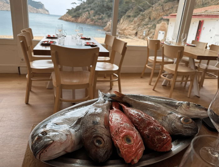 Restaurante Toc Al Mar