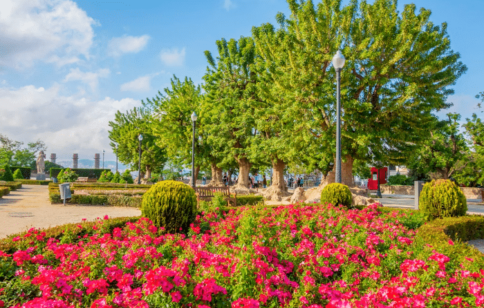 Лучшие сады Барселоны