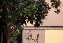 Жизнь в Барселоне. Взгляд инсайдера. Улицы каталонской столицы