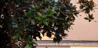 Улицы каталонской столицы